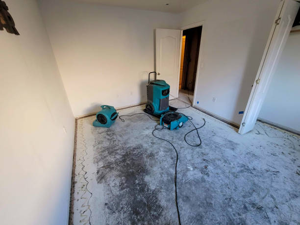 Best Flood restoration services  in Chapman, KS