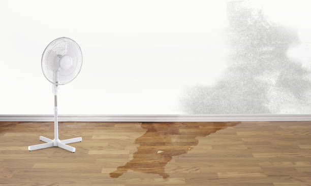 Best Ceiling water damage repair  in Chapman, KS