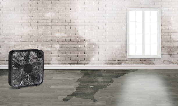 Water damage restoration process in KS
