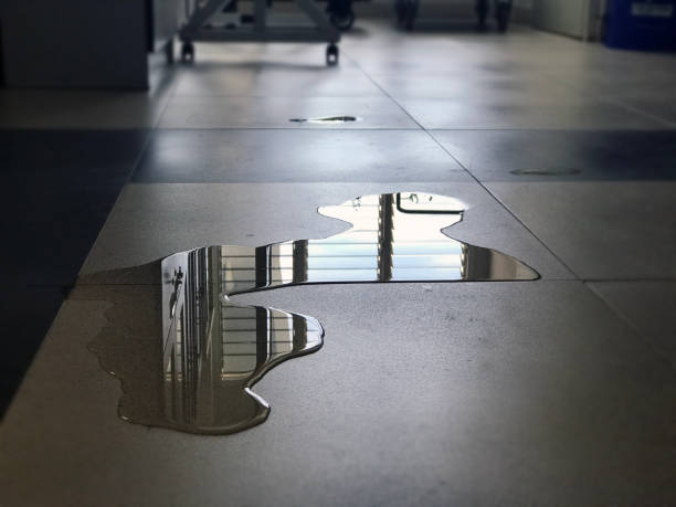 Best Water damage cleanup near me  in Chapman, KS