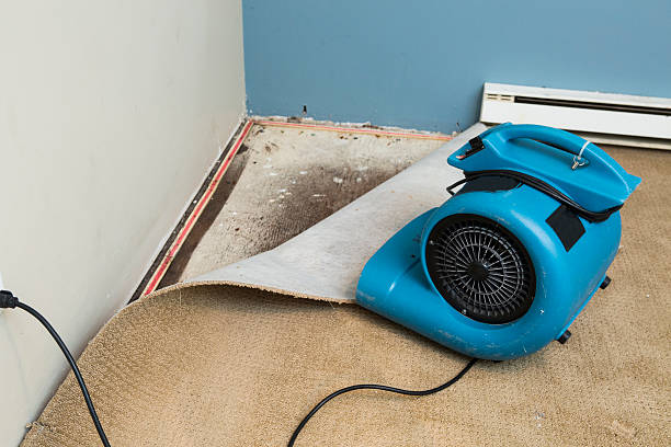 Best Residential water damage restoration  in Chapman, KS